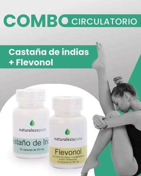 Circulatorio